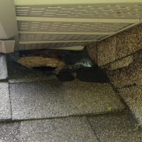 Hole in Roof Squirrel Entry Point